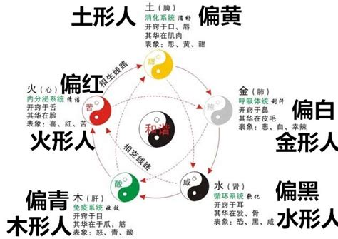 火型人帶木|體相識人——五行形相